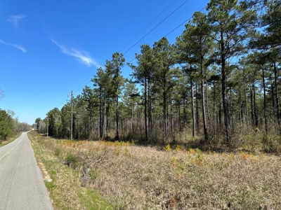 Timberland W/ Creek W/ Utilities near Star City, AR for Sale - image 1