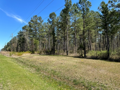 Timberland W/ Creek W/ Utilities near Star City, AR for Sale - image 5
