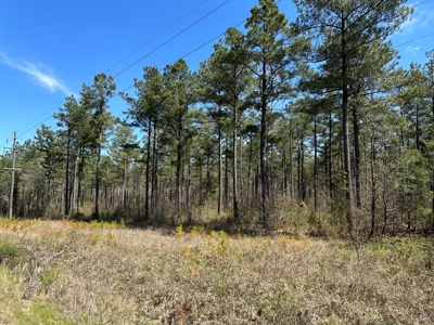 Timberland W/ Creek W/ Utilities near Star City, AR for Sale - image 2