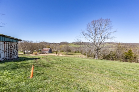 3 Dwellings, Barns, and Sheds to be Auctioned in Columbia TN - image 26