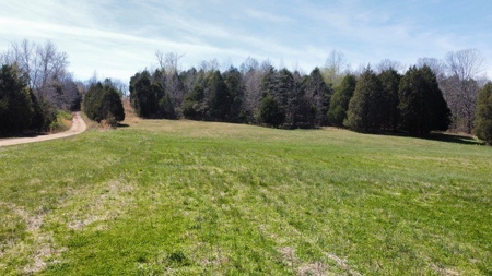 Land for Sale with Acreage in Humphreys County Tennessee - image 10