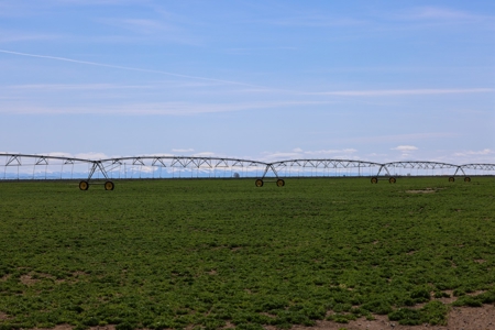 Eastern Oregon Meadow Land Ranch - image 24