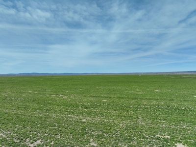 Eastern Oregon Meadow Land Ranch - image 35