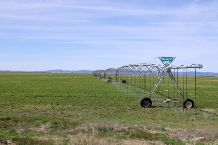 Eastern Oregon Meadow Land Ranch - image 17