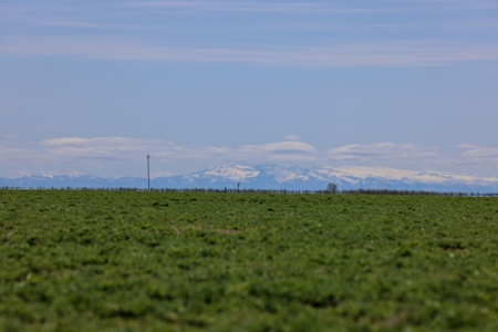 Eastern Oregon Meadow Land Ranch - image 23