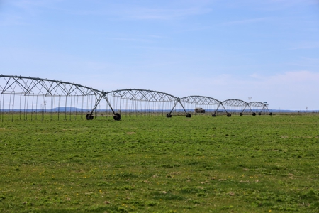 Eastern Oregon Meadow Land Ranch - image 21