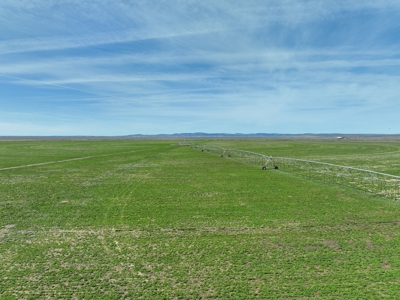 Eastern Oregon Meadow Land Ranch - image 30