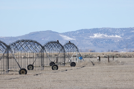 Eastern Oregon Meadow Land Ranch - image 1