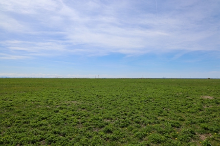 Eastern Oregon Meadow Land Ranch - image 19