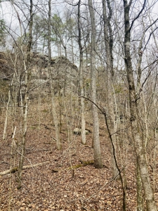 North Central Arkansas Land For Sale In The Ozark Mountains - image 13