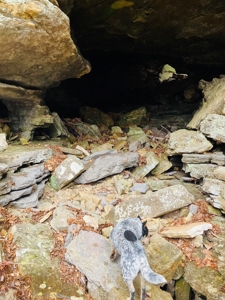 North Central Arkansas Land For Sale In The Ozark Mountains - image 8