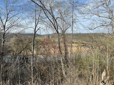 Riverfront Home In Eminence Missouri On The Jacks Fork River - image 44