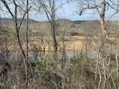 Riverfront Home In Eminence Missouri On The Jacks Fork River - image 45