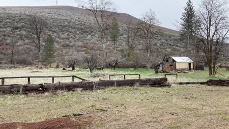 Where deer come to water. Own a piece of history! - image 41
