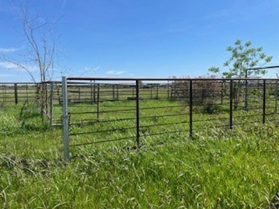 Land with Acreage for Sale in Corsicana, Texas - image 4