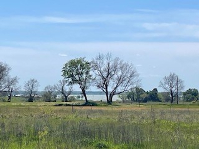 Land with Acreage for Sale in Corsicana, Texas - image 10