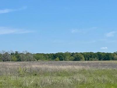 Land with Acreage for Sale in Corsicana, Texas - image 9