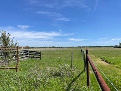 Land with Acreage for Sale in Corsicana, Texas - image 3