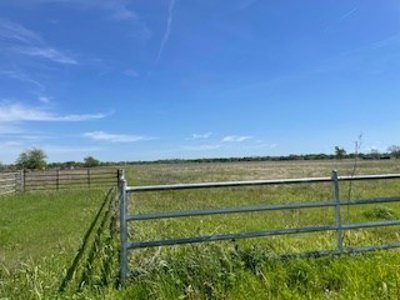 Land with Acreage for Sale in Corsicana, Texas - image 5