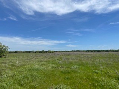 Land with Acreage for Sale in Corsicana, Texas - image 7