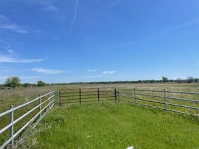Land with Acreage for Sale in Corsicana, Texas - image 6