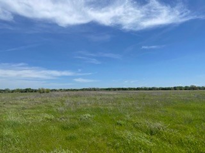 Land with Acreage for Sale in Corsicana, Texas - image 8
