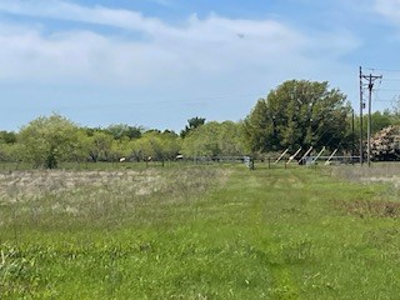 Land with Acreage for Sale in Corsicana, Texas - image 11