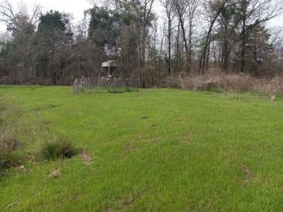 Land For A Home And Hunting For Sale - image 3