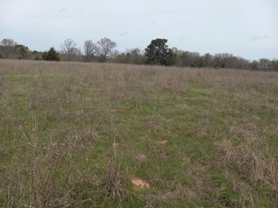 Land For A Home And Hunting For Sale - image 1