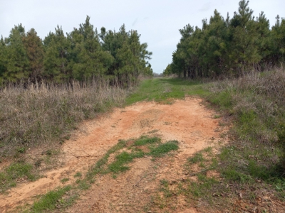 Great Hunting Property For Sale In Antlers, Ok - image 1