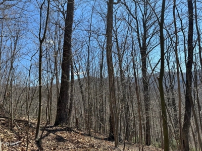 28.9 Acres in Roan Mountain, Tennesseee - image 20