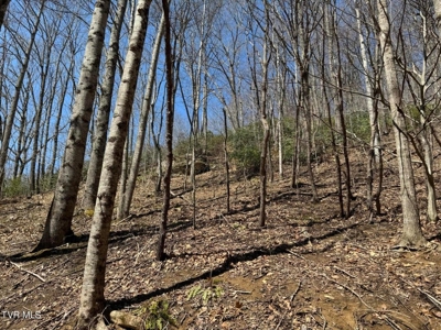 28.9 Acres in Roan Mountain, Tennesseee - image 31