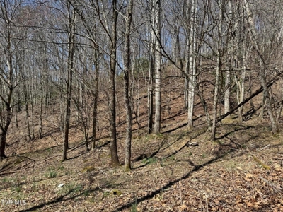 28.9 Acres in Roan Mountain, Tennesseee - image 39