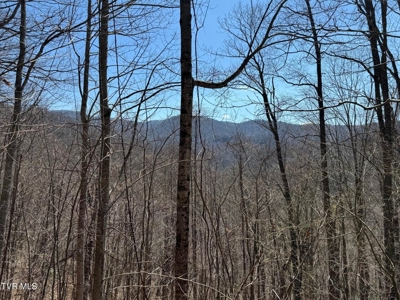28.9 Acres in Roan Mountain, Tennesseee - image 10