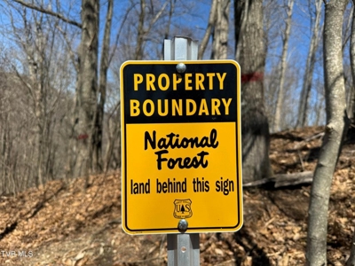 28.9 Acres in Roan Mountain, Tennesseee - image 16