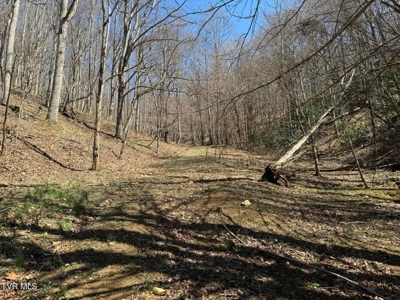 28.9 Acres in Roan Mountain, Tennesseee - image 38