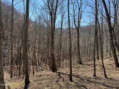 28.9 Acres in Roan Mountain, Tennesseee - image 25