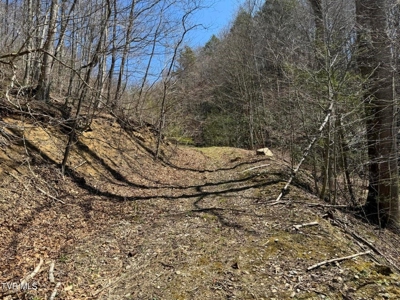 28.9 Acres in Roan Mountain, Tennesseee - image 46