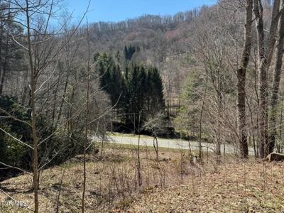 28.9 Acres in Roan Mountain, Tennesseee - image 44