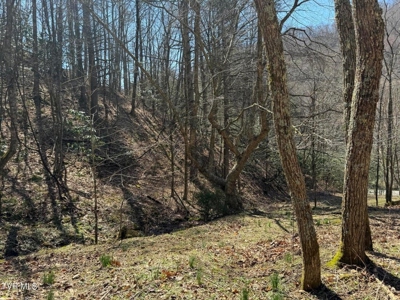 28.9 Acres in Roan Mountain, Tennesseee - image 40