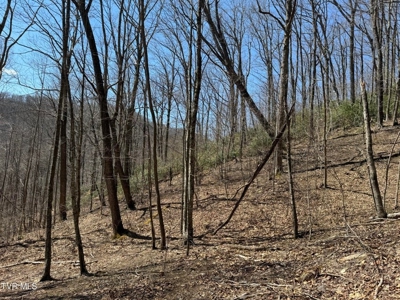 28.9 Acres in Roan Mountain, Tennesseee - image 26