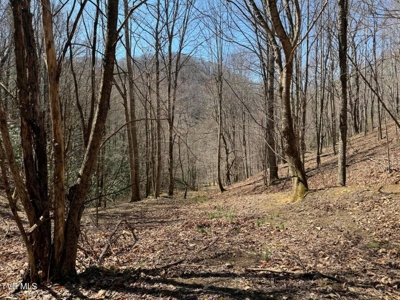 28.9 Acres in Roan Mountain, Tennesseee - image 35