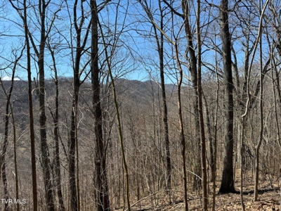 28.9 Acres in Roan Mountain, Tennesseee - image 17