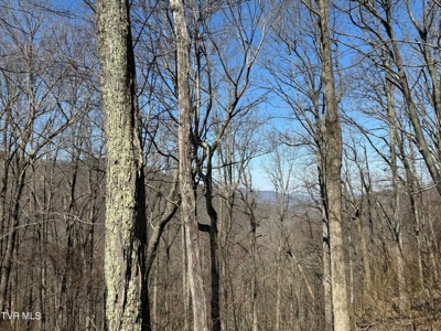 28.9 Acres in Roan Mountain, Tennesseee - image 12