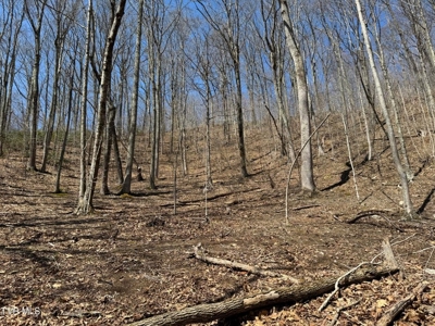 28.9 Acres in Roan Mountain, Tennesseee - image 23