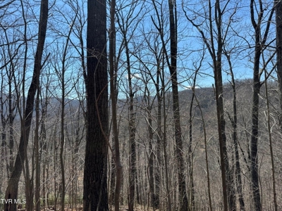 28.9 Acres in Roan Mountain, Tennesseee - image 19