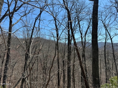 28.9 Acres in Roan Mountain, Tennesseee - image 21