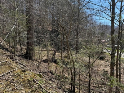 28.9 Acres in Roan Mountain, Tennesseee - image 45