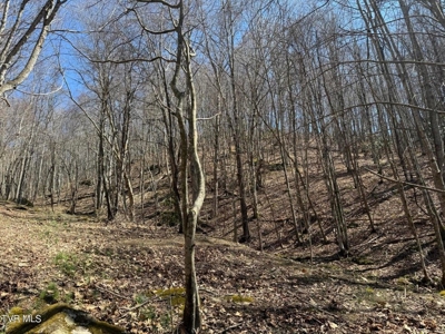 28.9 Acres in Roan Mountain, Tennesseee - image 36