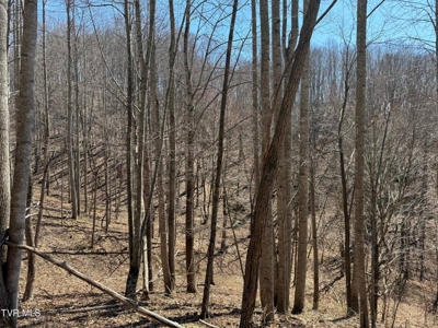 28.9 Acres in Roan Mountain, Tennesseee - image 24